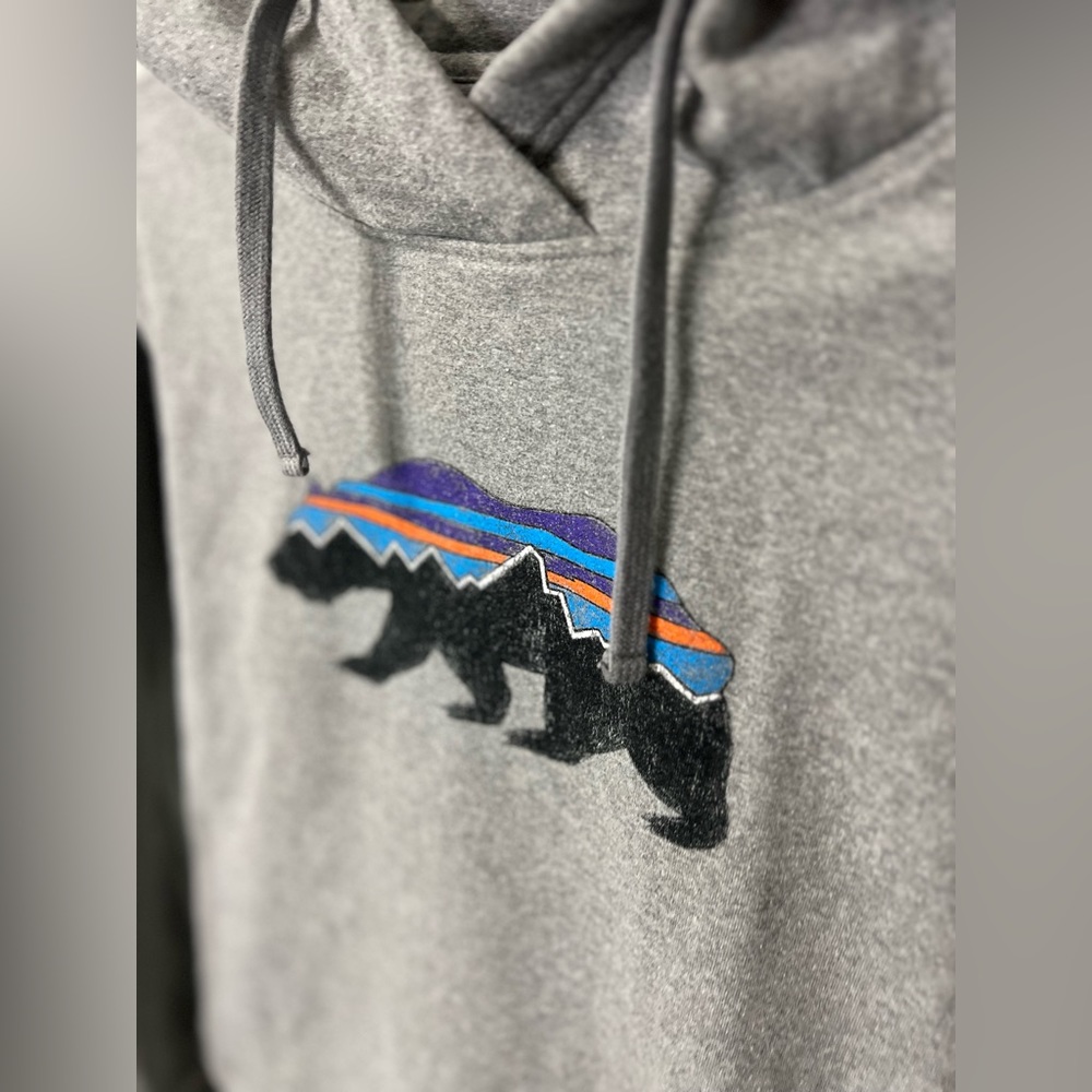Patagonia Roy Bear Uprisal Hoodie | Sz XS - Picture 13 of 16